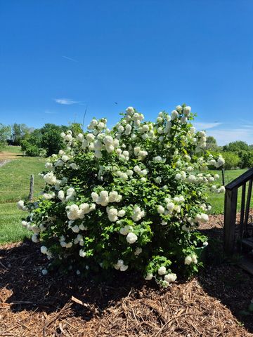 140 Parsons Lane, Harrodsburg, KY 40330