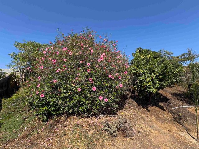 3527 Acworth Ave, San Diego, CA 92111