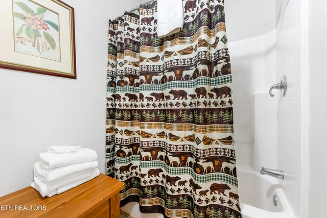 1251 Bear Cub Way, Gatlinburg, TN 37738