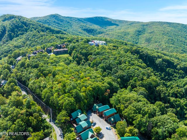 1251 Bear Cub Way, Gatlinburg, TN 37738