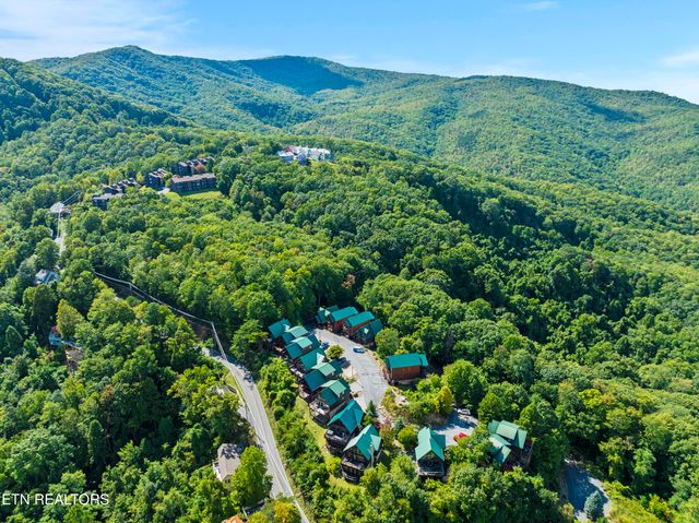 1251 Bear Cub Way, Gatlinburg, TN 37738