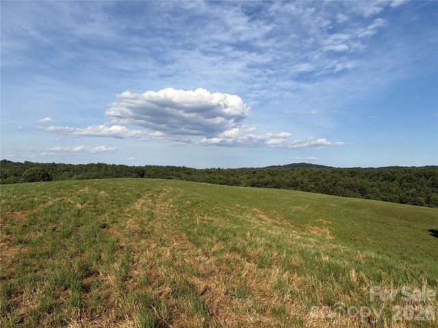 1779 Round Hill Church Road, Traphill, NC 28685