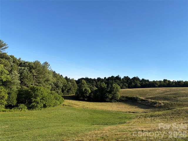 1779 Round Hill Church Road, Traphill, NC 28685