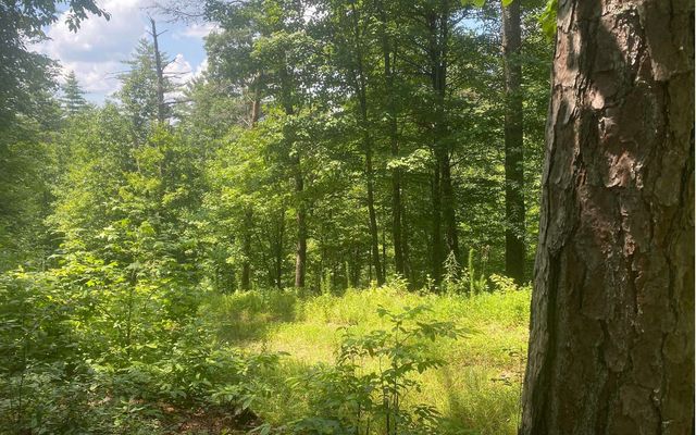 17.98 Ac Murphy Hwy, Mineral Bluff, GA 30559