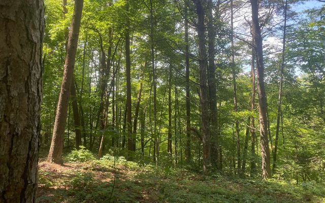 17.98 Ac Murphy Hwy, Mineral Bluff, GA 30559