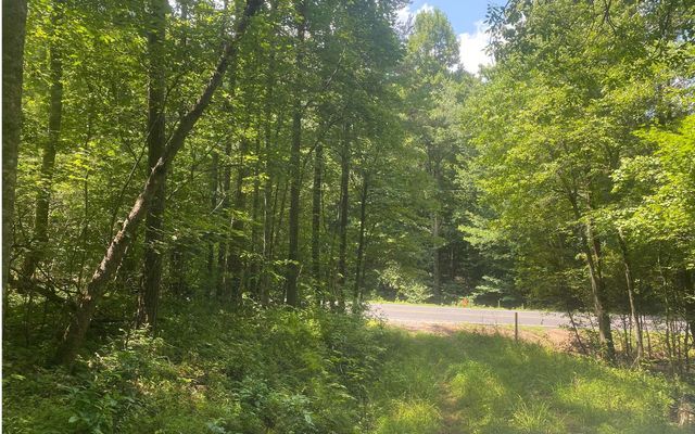 17.98 Ac Murphy Hwy, Mineral Bluff, GA 30559