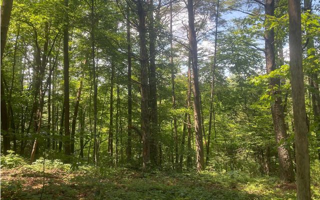 17.98 Ac Murphy Hwy, Mineral Bluff, GA 30559