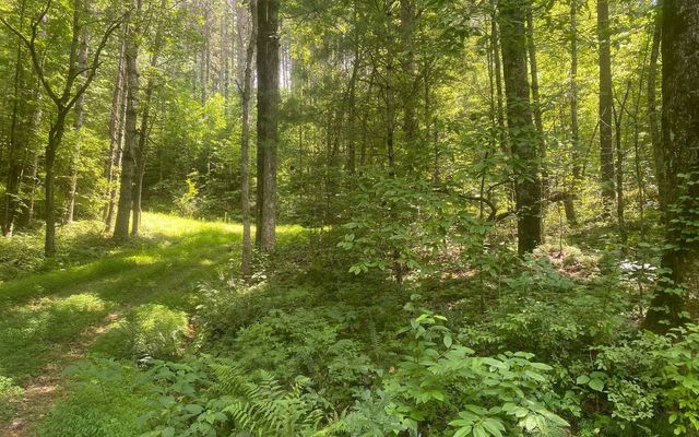 17.98 Ac Murphy Hwy, Mineral Bluff, GA 30559