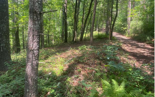 17.98 Ac Murphy Hwy, Mineral Bluff, GA 30559