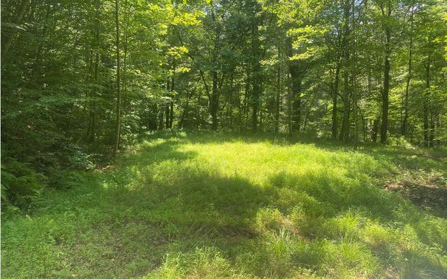 17.98 Ac Murphy Hwy, Mineral Bluff, GA 30559