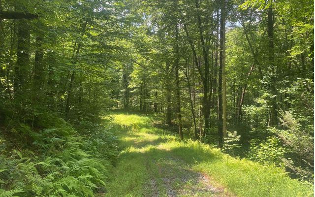 17.98 Ac Murphy Hwy, Mineral Bluff, GA 30559