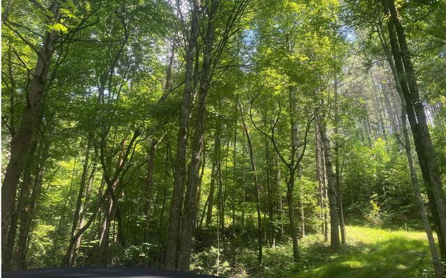 17.98 Ac Murphy Hwy, Mineral Bluff, GA 30559