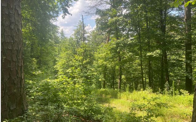 17.98 Ac Murphy Hwy, Mineral Bluff, GA 30559