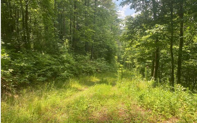 17.98 Ac Murphy Hwy, Mineral Bluff, GA 30559