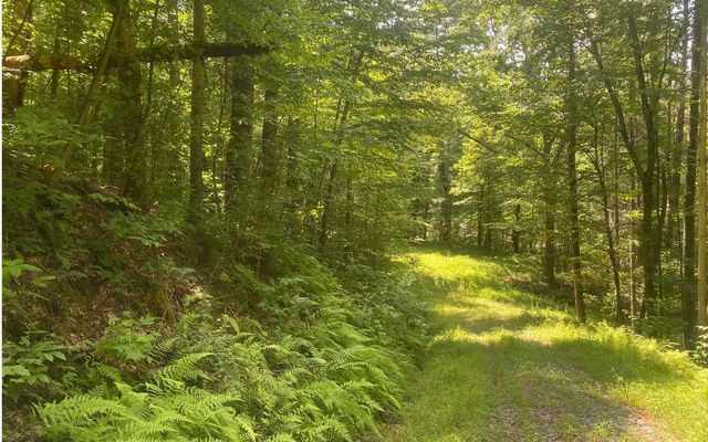 17.98 Ac Murphy Hwy, Mineral Bluff, GA 30559