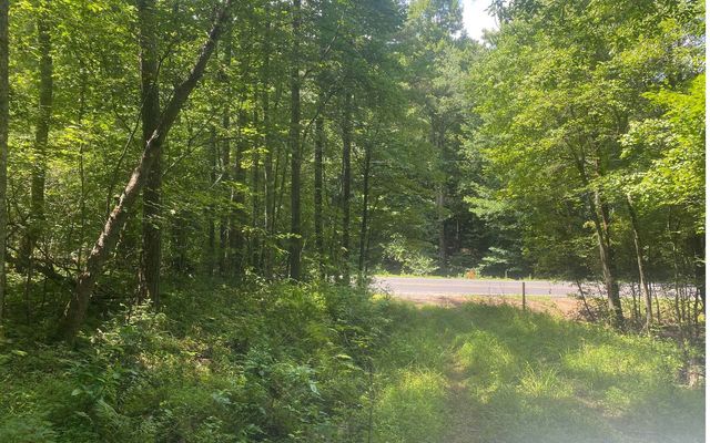 17.98 Ac Murphy Hwy, Mineral Bluff, GA 30559