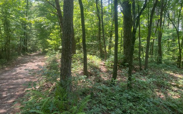 17.98 Ac Murphy Hwy, Mineral Bluff, GA 30559