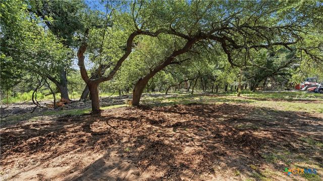1973 Desiree Street, Canyon Lake, TX 78133