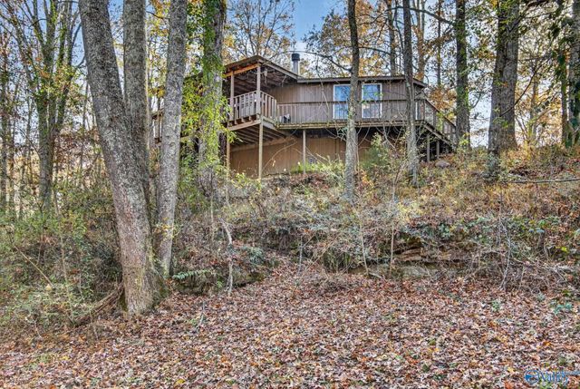 1361 County Road 114, Valley Head, AL 35989