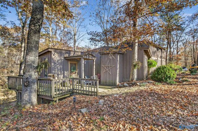 1361 County Road 114, Valley Head, AL 35989