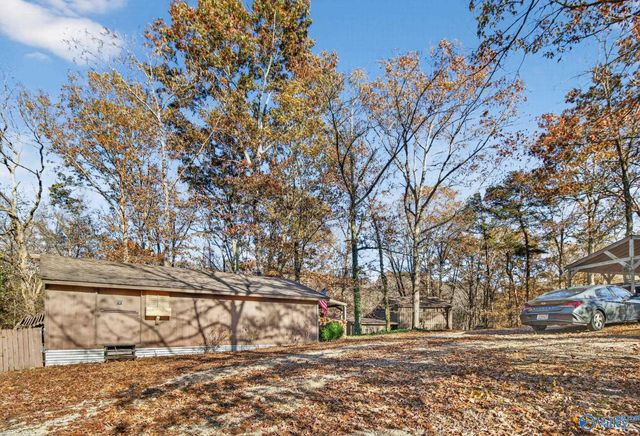 1361 County Road 114, Valley Head, AL 35989