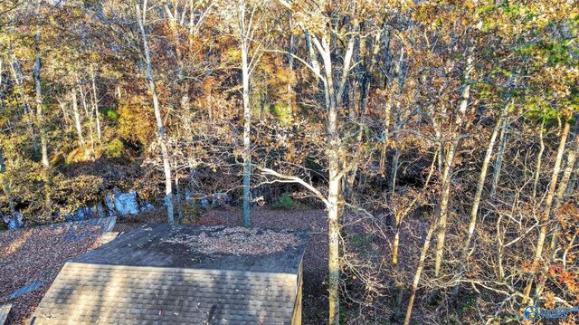 1361 County Road 114, Valley Head, AL 35989