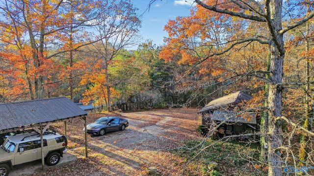 1361 County Road 114, Valley Head, AL 35989