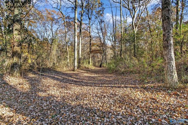 1361 County Road 114, Valley Head, AL 35989