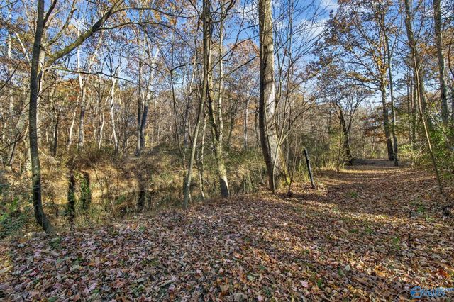 1361 County Road 114, Valley Head, AL 35989