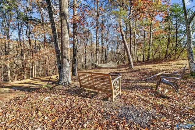 1361 County Road 114, Valley Head, AL 35989