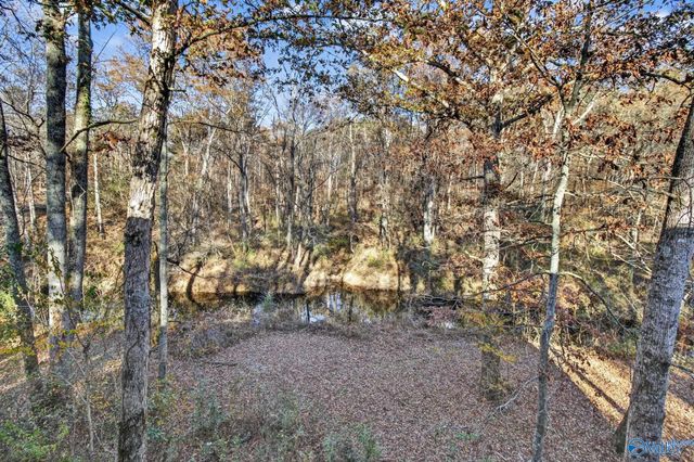 1361 County Road 114, Valley Head, AL 35989