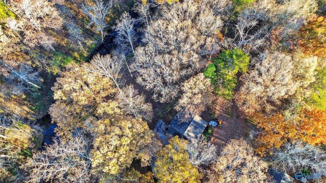 1361 County Road 114, Valley Head, AL 35989