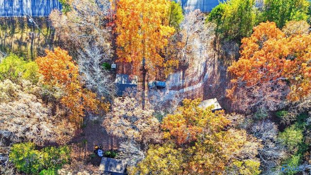 1361 County Road 114, Valley Head, AL 35989