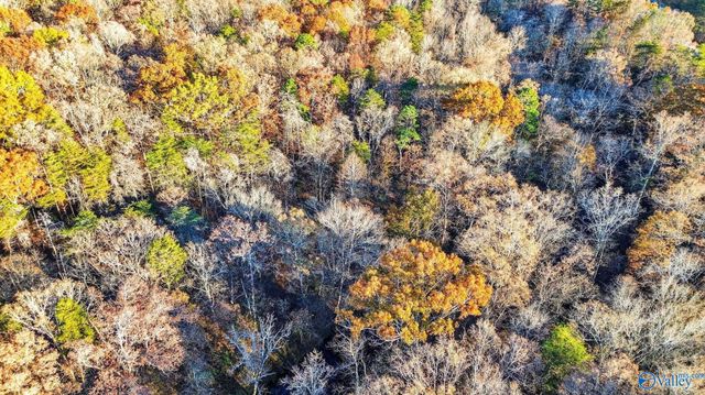 1361 County Road 114, Valley Head, AL 35989