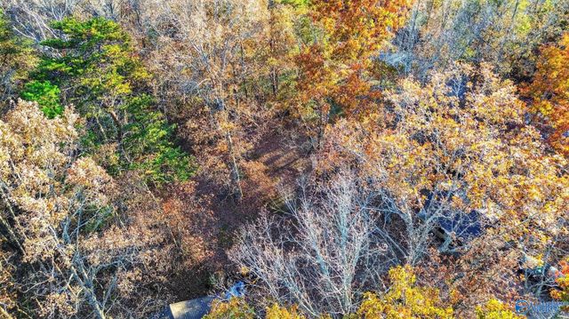 1361 County Road 114, Valley Head, AL 35989