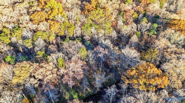 1361 County Road 114, Valley Head, AL 35989