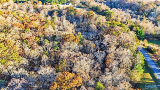 1361 County Road 114, Valley Head, AL 35989