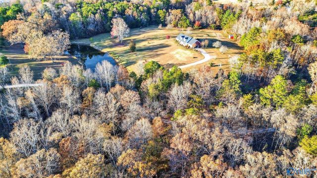 1361 County Road 114, Valley Head, AL 35989