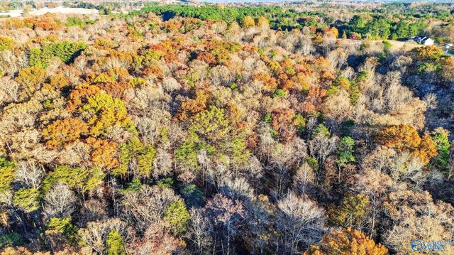 1361 County Road 114, Valley Head, AL 35989