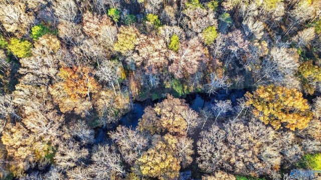 1361 County Road 114, Valley Head, AL 35989