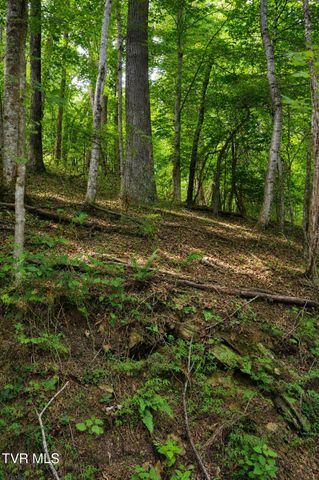 Tbd Moody Circle, Butler, TN 37640