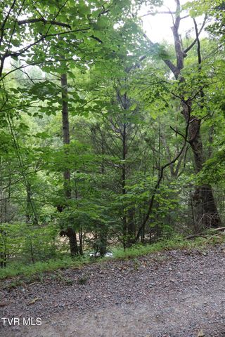 Tbd Moody Circle, Butler, TN 37640