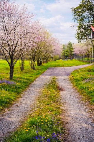 12811 Thatch Road, Harrison, TN 37341