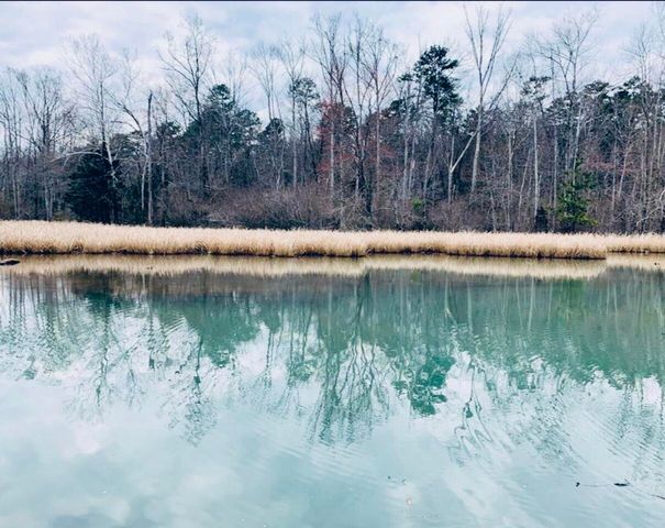 12811 Thatch Road, Harrison, TN 37341