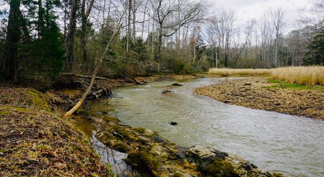 12811 Thatch Road, Harrison, TN 37341