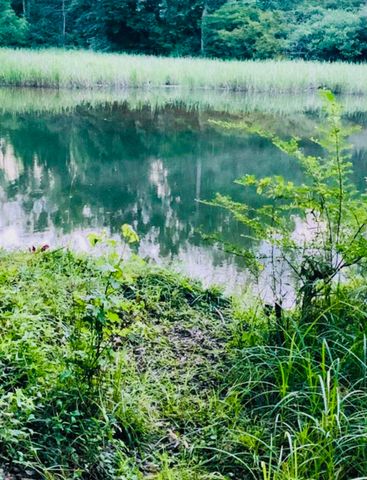 12811 Thatch Road, Harrison, TN 37341