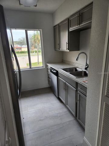 7516 NEEDLE LEAF PLACE 44, Tampa, FL 33617