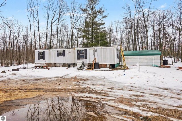 9047 E Oakwood Trail, Reed City, MI 49677