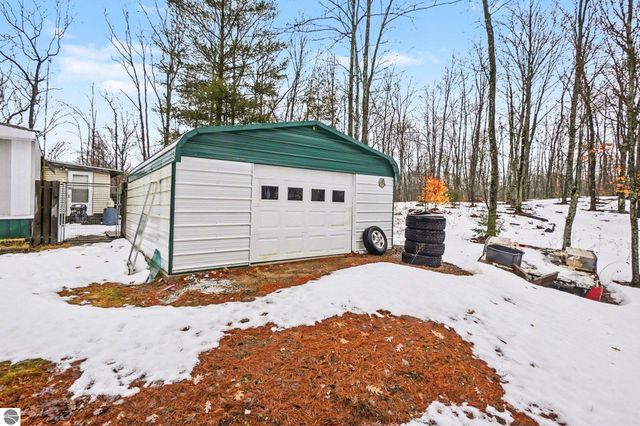 9047 E Oakwood Trail, Reed City, MI 49677