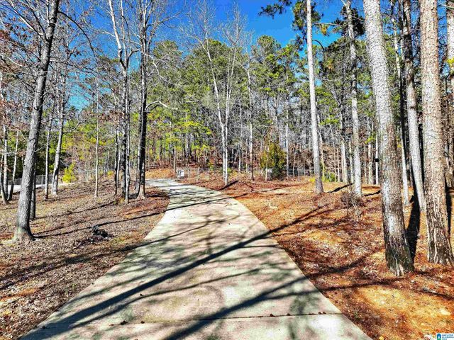 256 MULBERRY LANE, Shelby, AL 35143